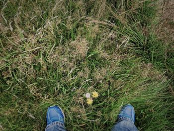 Low section of man standing on ground