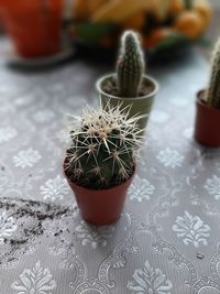 High angle view of potted plant on table