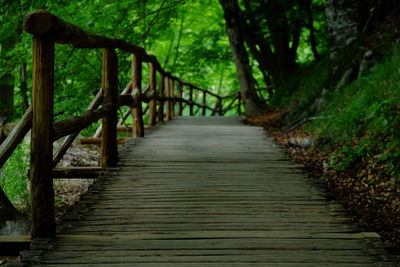 View of wooden footbridge in forest