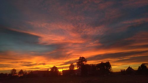 Silhouette trees on field against dramatic sky during sunset