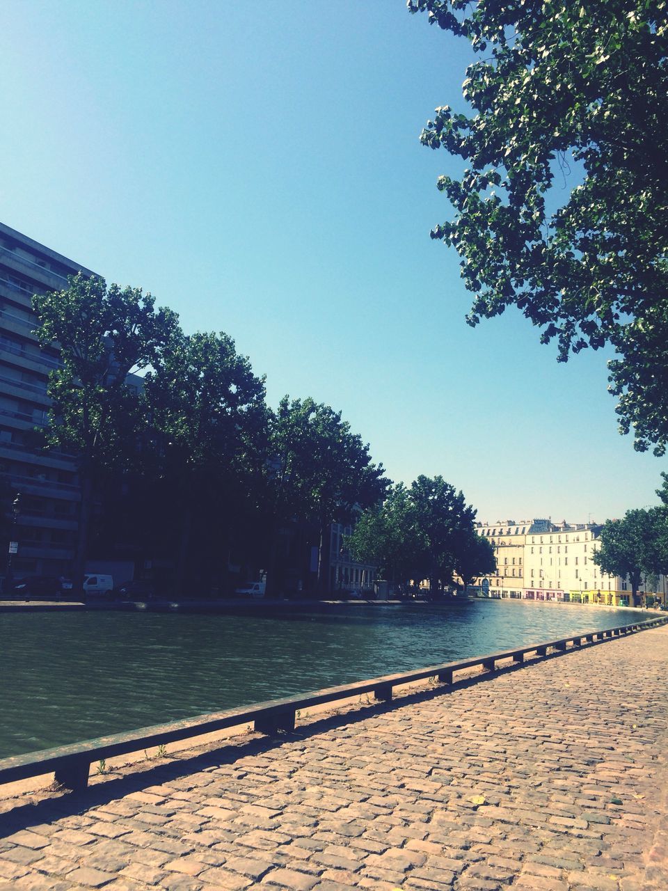 tree, water, clear sky, building exterior, built structure, architecture, blue, city, sunlight, river, day, incidental people, copy space, outdoors, railing, sky, tranquility, growth, nature, park - man made space