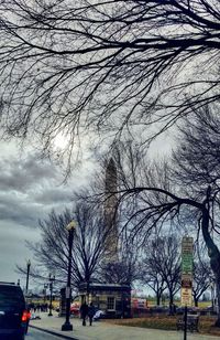 Bare trees against sky in city