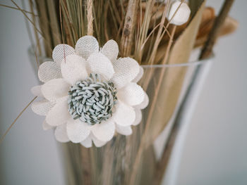 Close-up of white flower hanging on wood