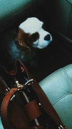 Close-up of object on wall