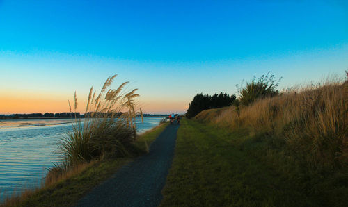 Road by sea against clear blue sky