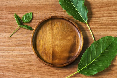 Directly above shot of green leaves on wooden table