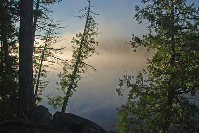 Foggy sunrise on bell lake in the quetico