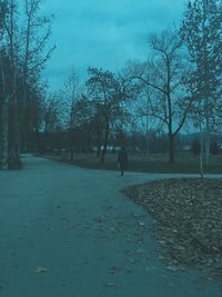 Bare trees on field against sky during winter