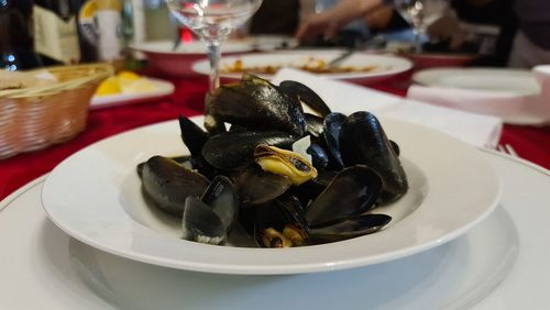 Close-up of meal served in plate