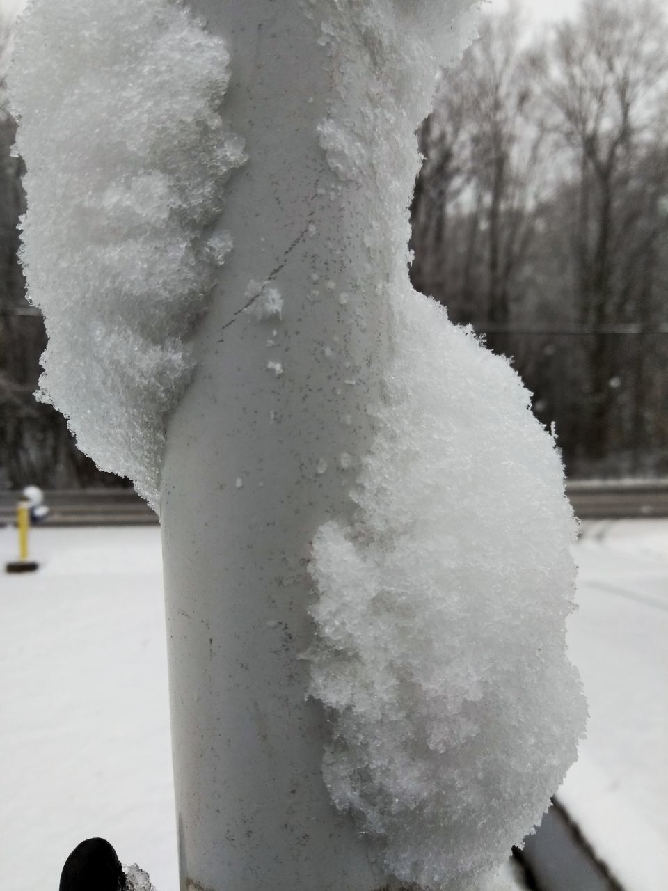 CLOSE-UP OF FROZEN TREE TRUNK DURING WINTER