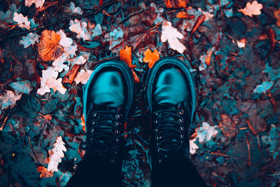 Low section of person standing on autumn leaves