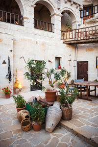 Potted plants in front of building