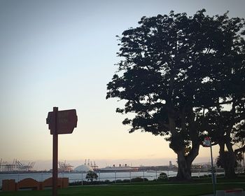 Trees in city against clear sky