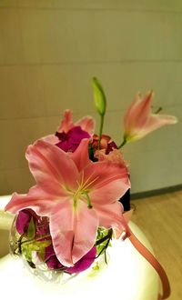 Close-up of pink flowers in vase