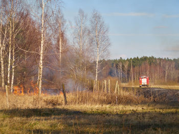 Panoramic shot of trees on field against sky