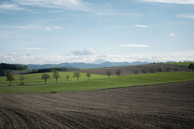 Scenic view of field against sky