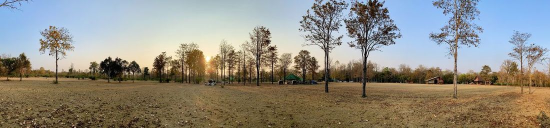 Panoramic shot of trees on field against sky