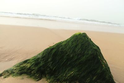 Close-up of sand on beach against sky