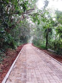 Dirt road amidst trees