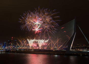 Firework exploding over erasmus bridge at night