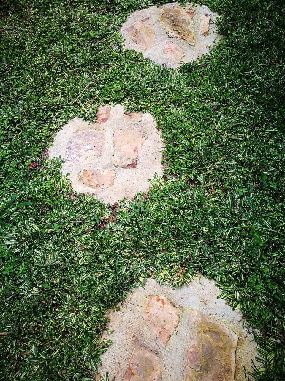 CLOSE-UP OF HEART SHAPE ON GRASS