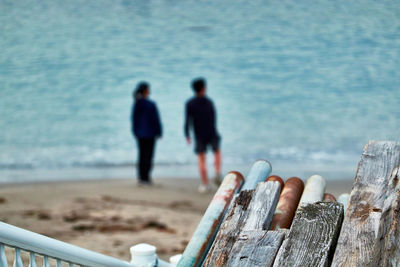Rear view of people on beach