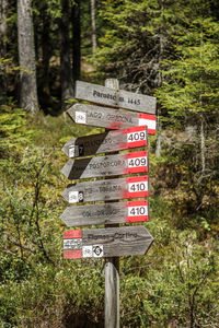 Information sign on tree trunk in forest