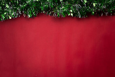 Close-up of christmas tree against wall