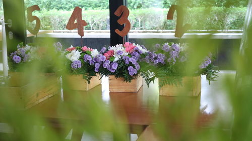 Flower pots on table