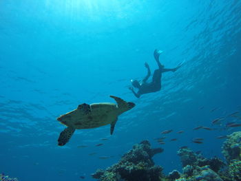 Person swimming in sea