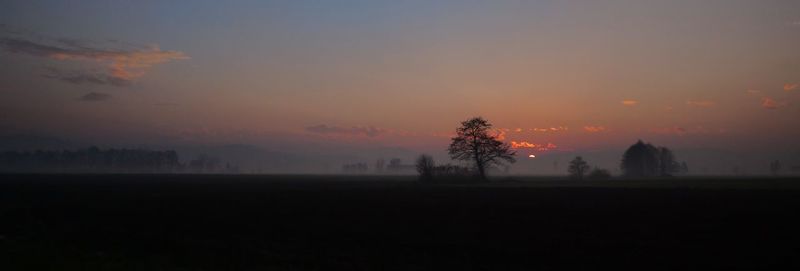 Silhouette trees on field against sky during sunset