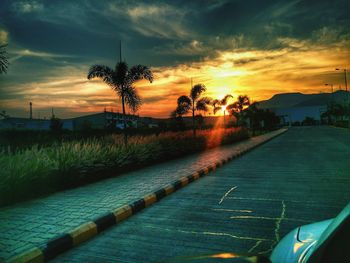 Scenic view of palm trees against sky during sunset