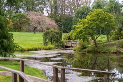 Scenic view of lake by trees