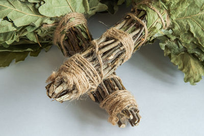 The oak branches of the bath broom, wrapped with twine, are close-up. on a white background