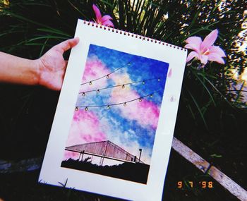 High angle view of hand holding white flowering plant