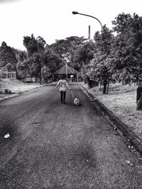 Empty road along trees