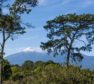 Scenic view of tree mountains against sky