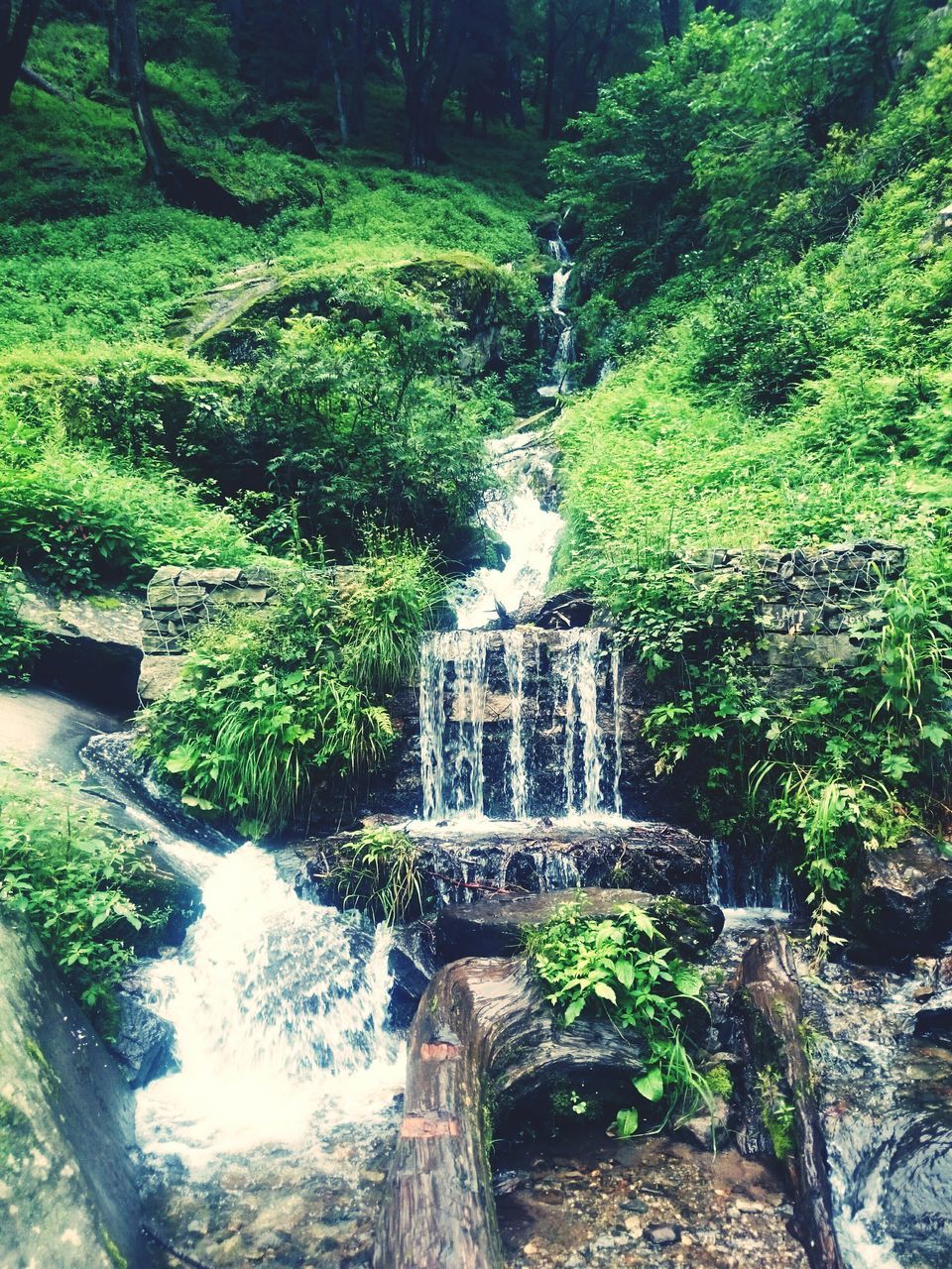 WATERFALL IN FOREST