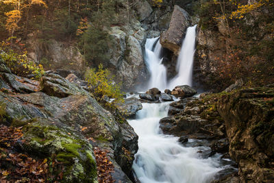 Scenic view of waterfall in forest