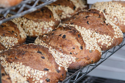 Freshly baked oatmeal raisin bread at an artisan bakery