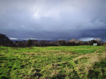 Scenic view of field against sky