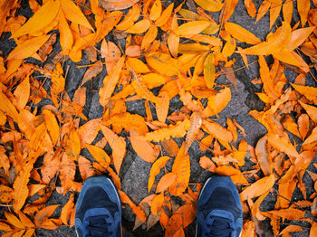 Low section of person standing on autumn leaves