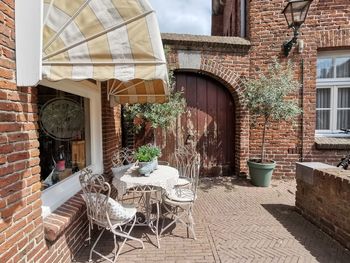 Potted plants on table against building