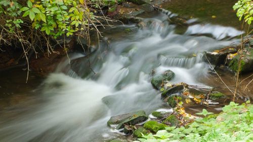 Close-up of waterfall in forest