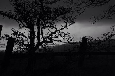 Bare trees against sky at sunset