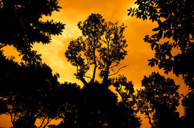 Low angle view of silhouette trees against sky at sunset