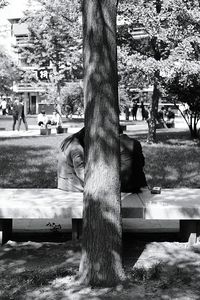 Dog sitting on tree trunk