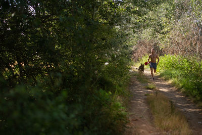 Rear view of men walking on footpath amidst trees