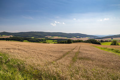 Scenic view of field against sky