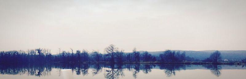 Reflection of trees in water
